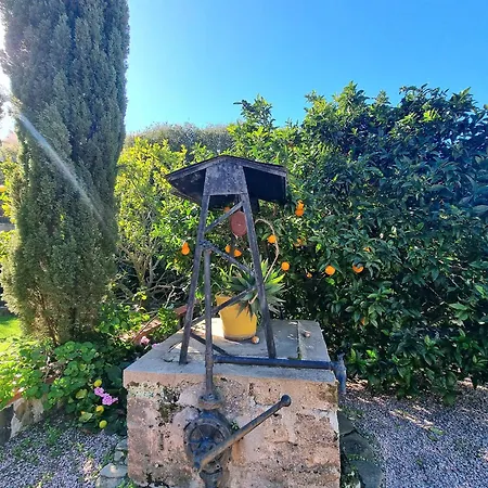 Maison A Port-vendres Avec Jardin, Parking Et Wifi - Fr-1-309-7 Apartmán Port Vendres