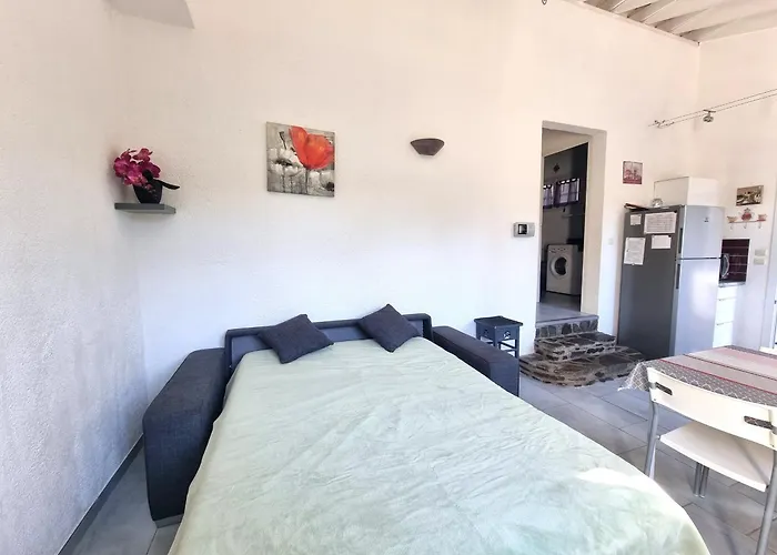 Maison A Port-vendres Avec Jardin, Parking Et Wifi - Fr-1-309-7