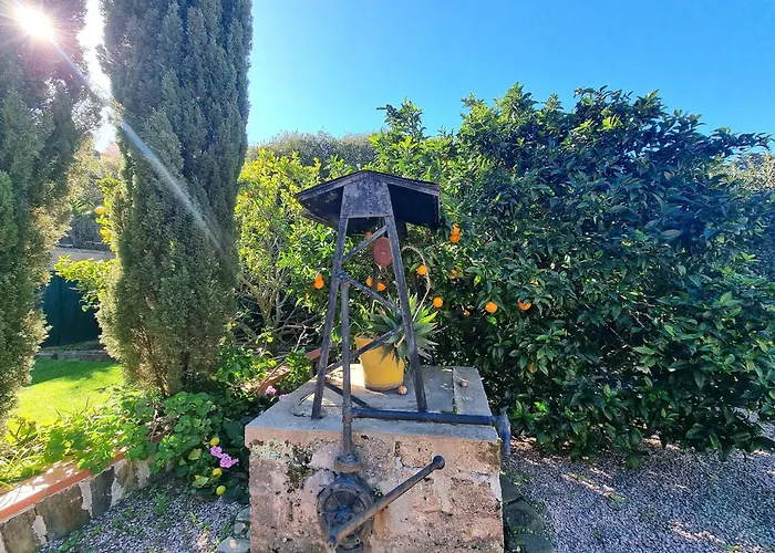Maison A Port-vendres Avec Jardin, Parking Et Wifi - Fr-1-309-7 Apartmán Port Vendres